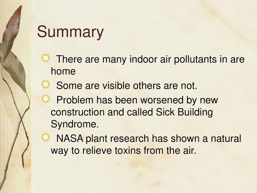 Summary There are many indoor air pollutants in are home