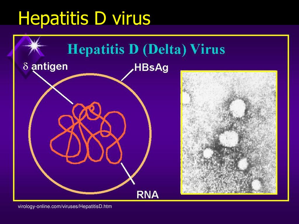 Гепатит д это. Гепатит д. Вирус гепатита d. Вирус гепатита Дельта. Структура вируса гепатита д.