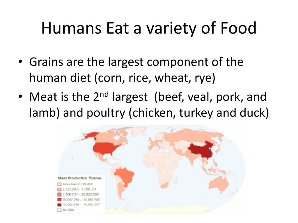 Chapter 11 Feeding the World. Biology Diagrams