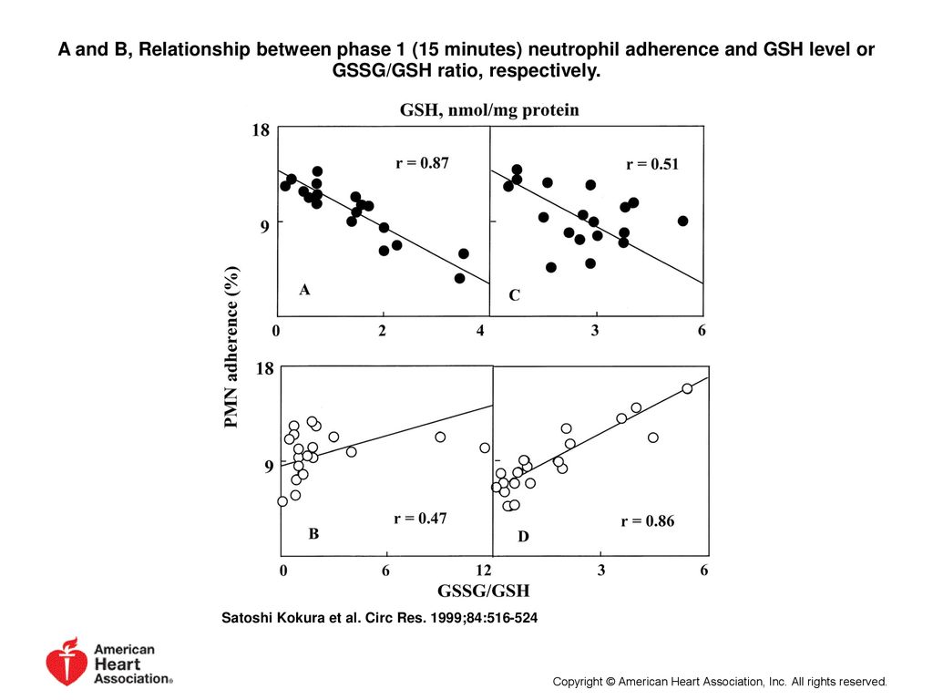 A and B, Relationship between phase 1 (15 minutes) neutrophil adherence and GSH level or GSSG/GSH ratio, respectively.
