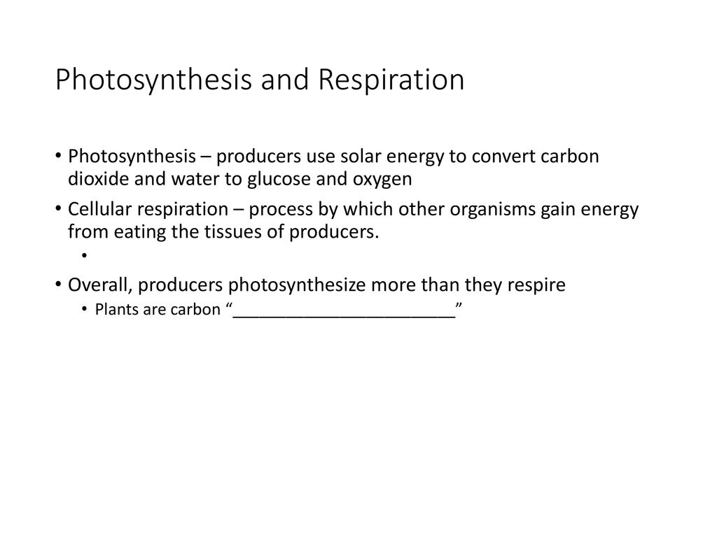 Chapter 3 Ecosystem Ecology. - ppt download