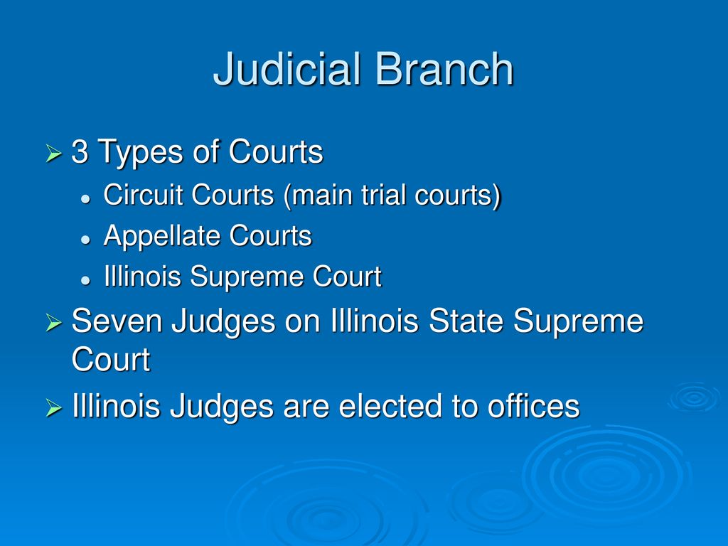 Illinois State Government ppt download Illinois State Government ppt download