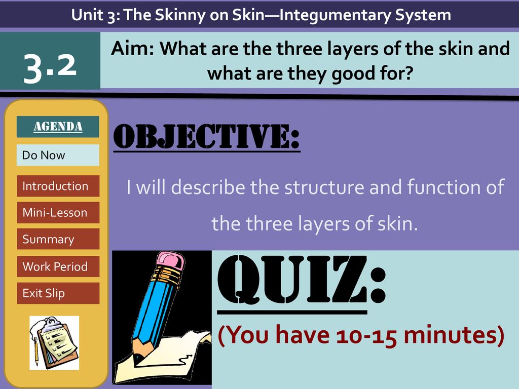 Quiz 3 2 objective you have minutes ppt download
