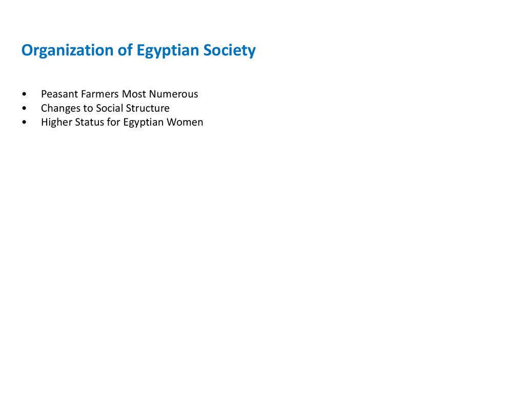 Organization of Egyptian Society