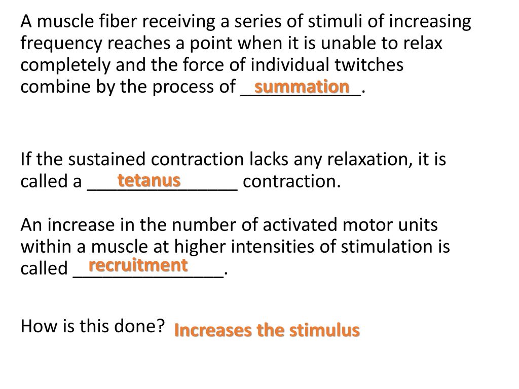 Muscular System Muscle Contractions. - ppt download