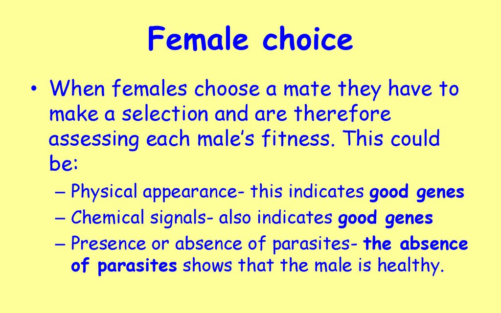 Female choice When females choose a mate they have to make a selection and are therefore assessing each male’s fitness. This could be: