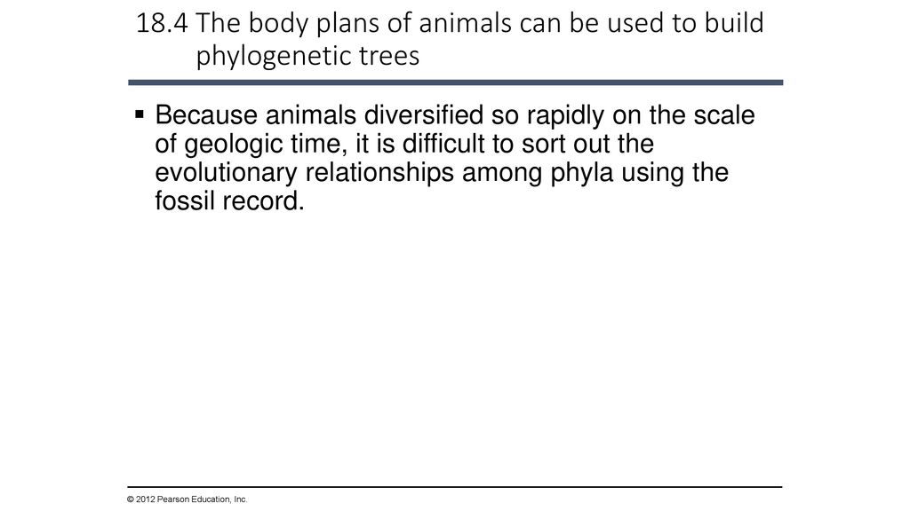 The Evolution of Invertebrate Diversity - ppt download