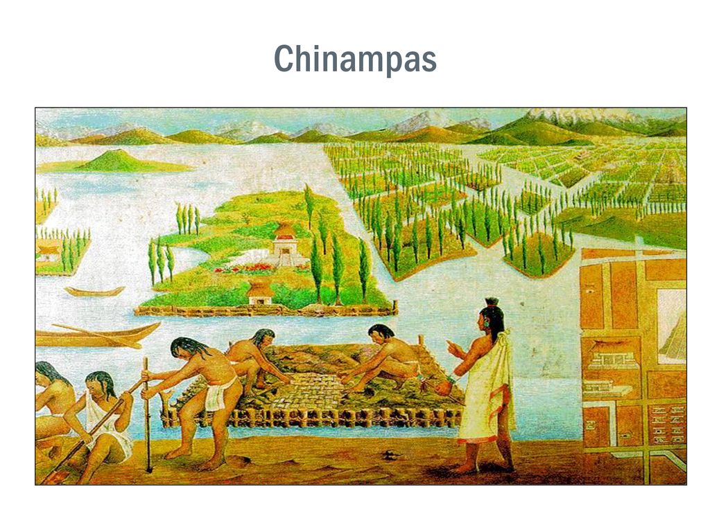 The Americas and Oceania AP World History Notes Chapter ppt download