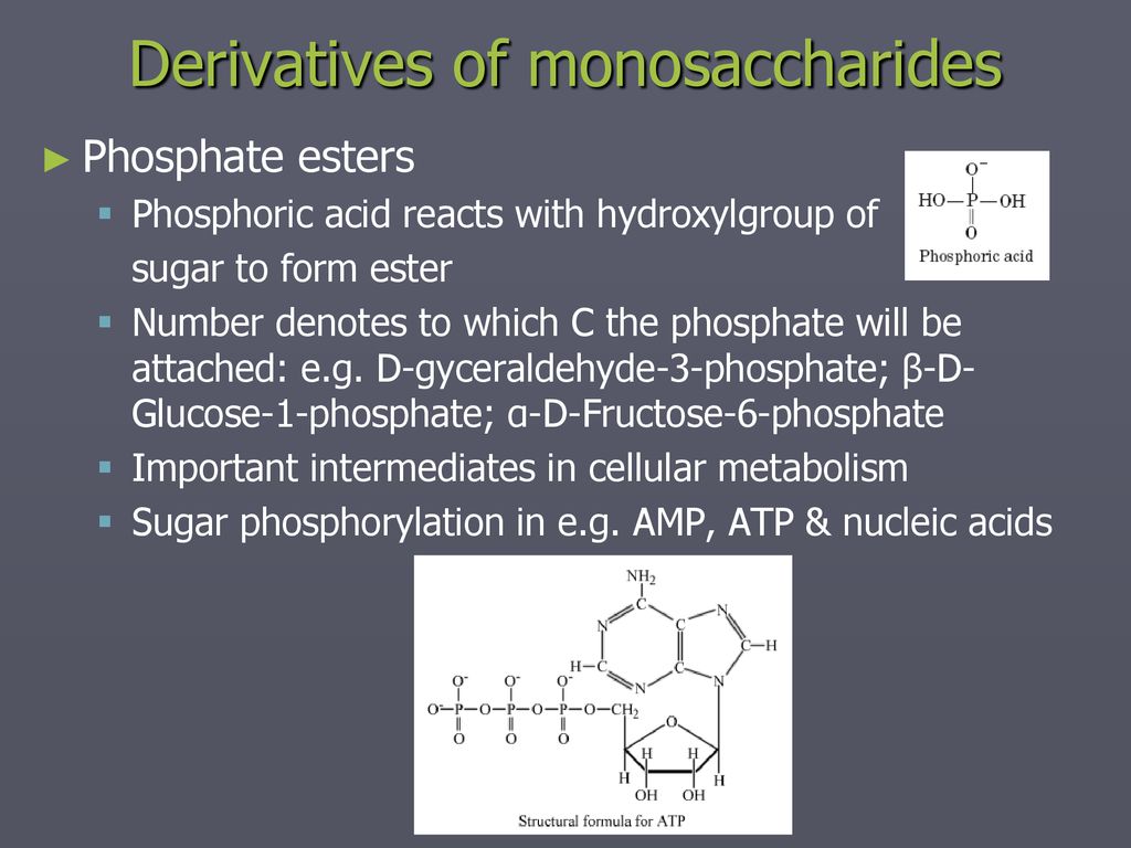 of - ppt download Chemistry Carbohydrates of ppt download - Carbohydrates Chemistry