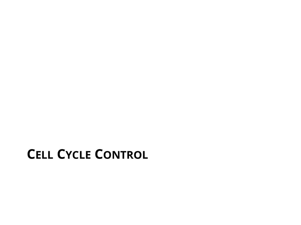 ppt download Biology Diagrams