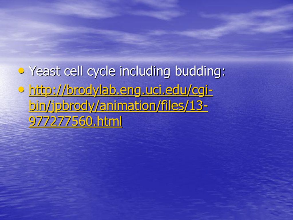 Asexual Reproduction Living Environment. Biology Diagrams