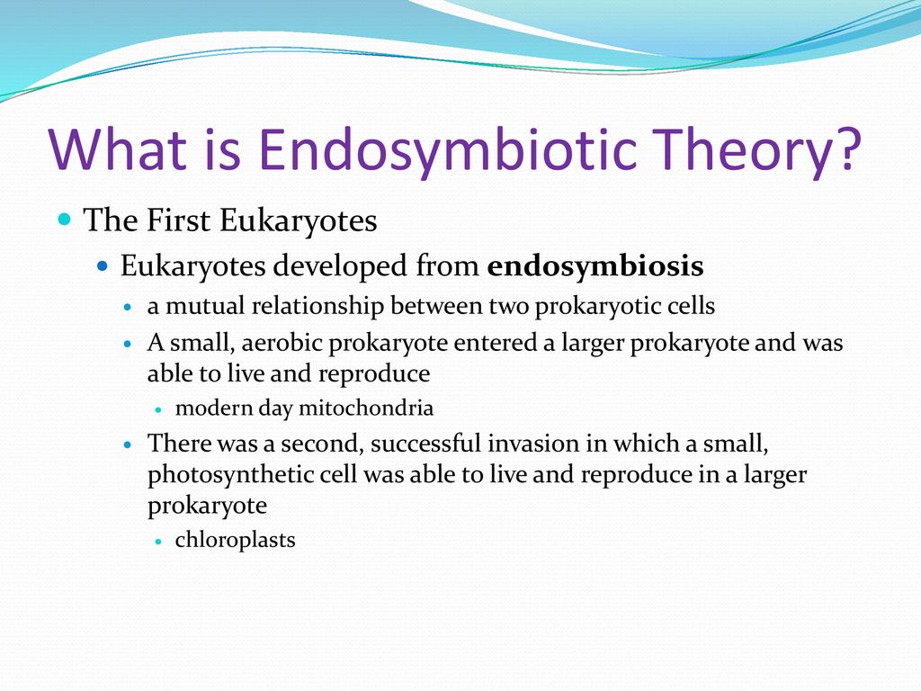 The history of life ppt download