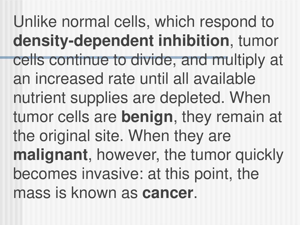 Unlike normal cells, which respond to density-dependent inhibition, tumor cells continue to divide, and multiply at an increased rate until all available nutrient supplies are depleted.