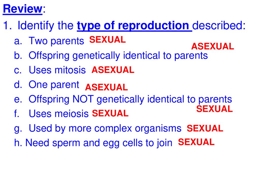 Identify the type of reproduction described: