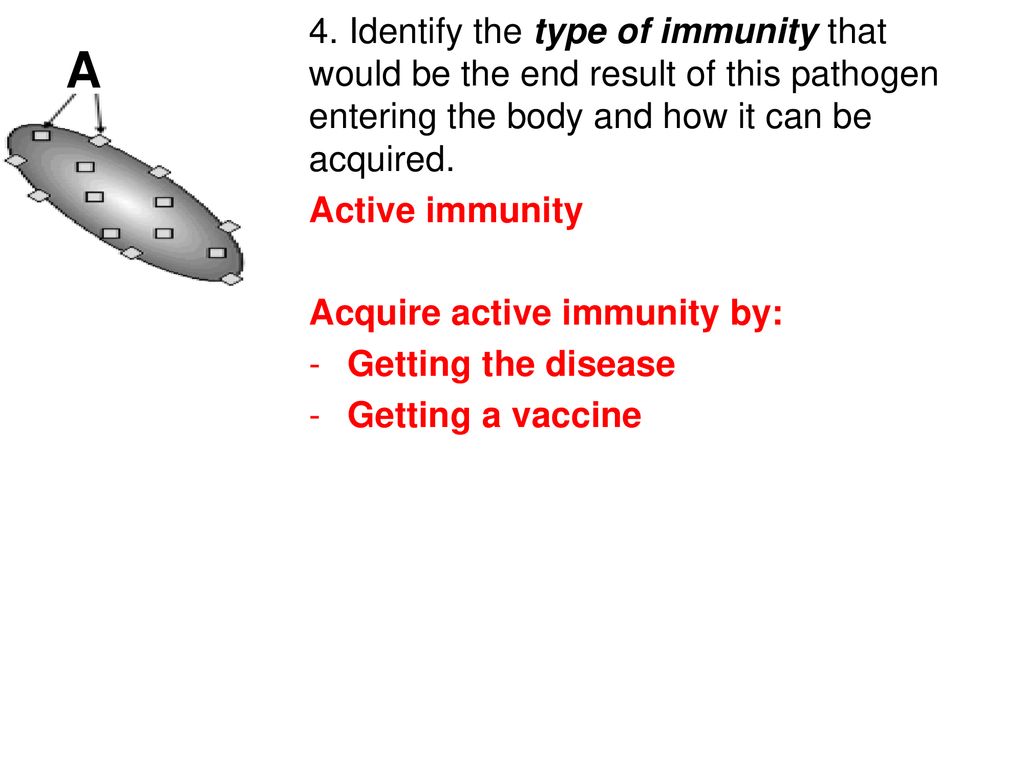 4. Identify the type of immunity that would be the end result of this pathogen entering the body and how it can be acquired.