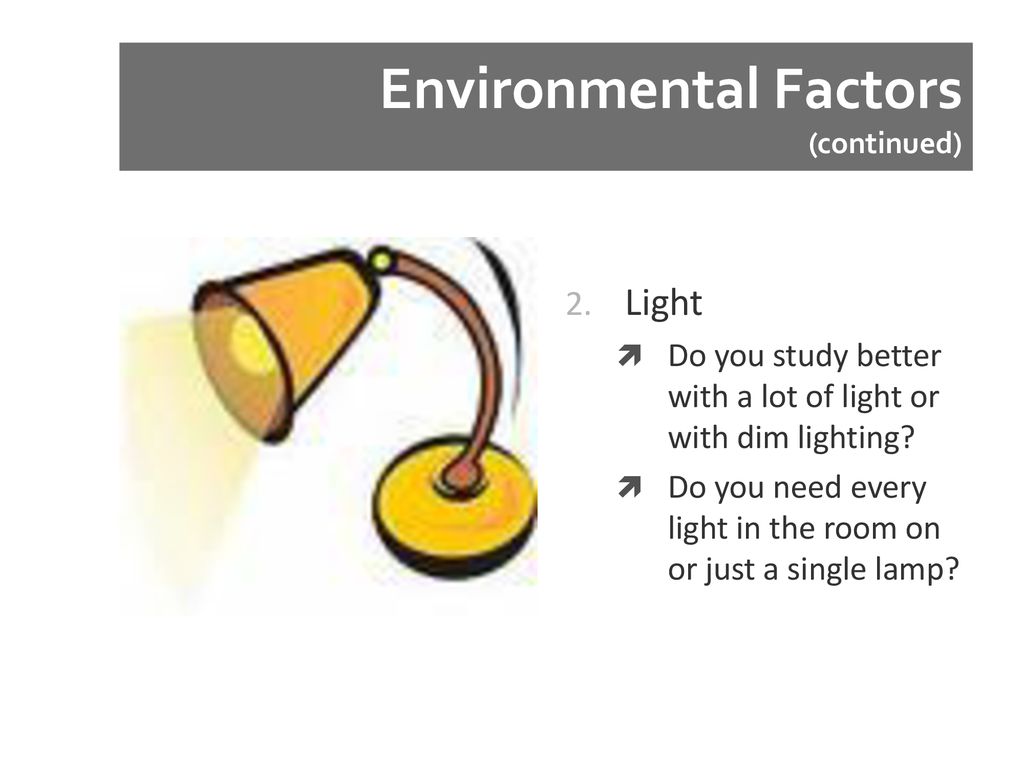 LSI LEARNING STYLES INVENTORY. - Ppt Download