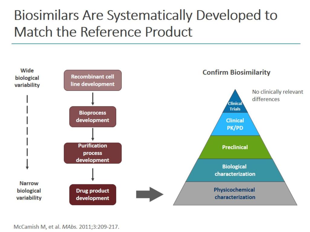 Biosimilars Are Systematically Developed to Match the Reference Product