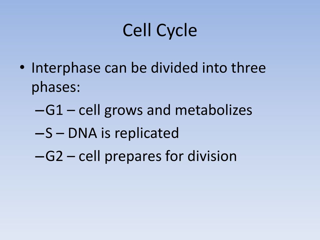 1.6 Cell Division/Mitosis - ppt download