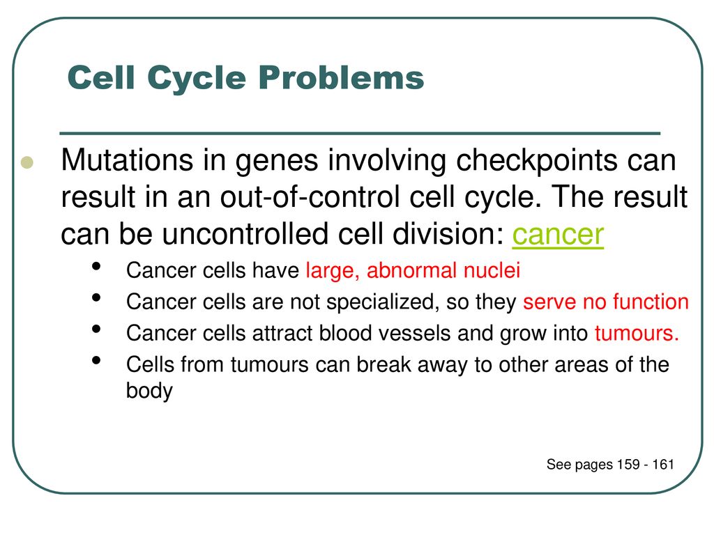 The Cell Cycle and Mitosis Biology Diagrams