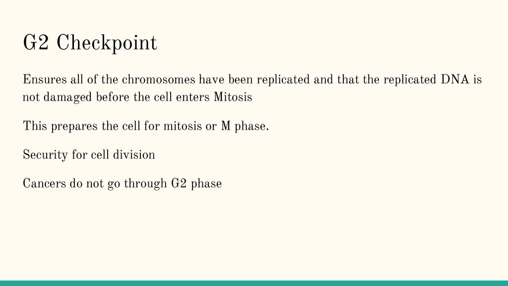 The Eukaryotic Cell Cycle Biology Diagrams