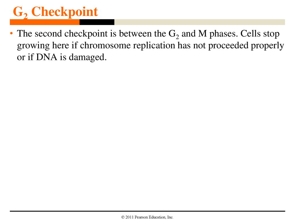 Key Concepts In eukaryotes, most dividing cells go through a cycle that ... Biology Diagrams