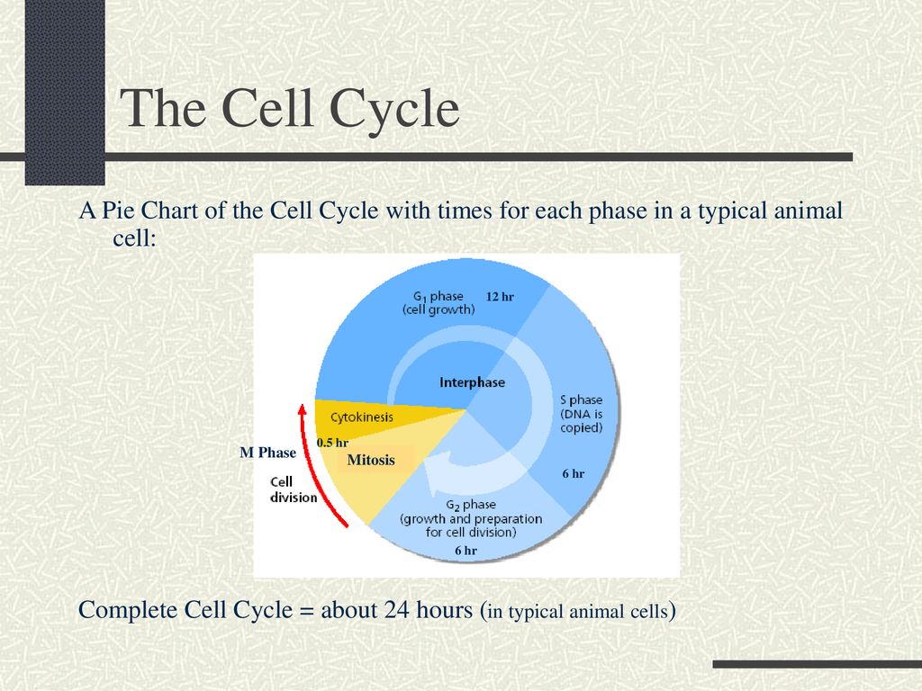 Cell Growth Chart