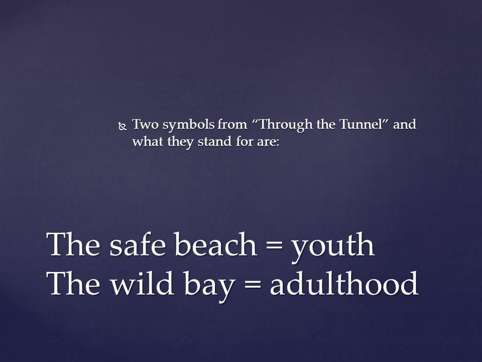 The safe beach = youth The wild bay = adulthood