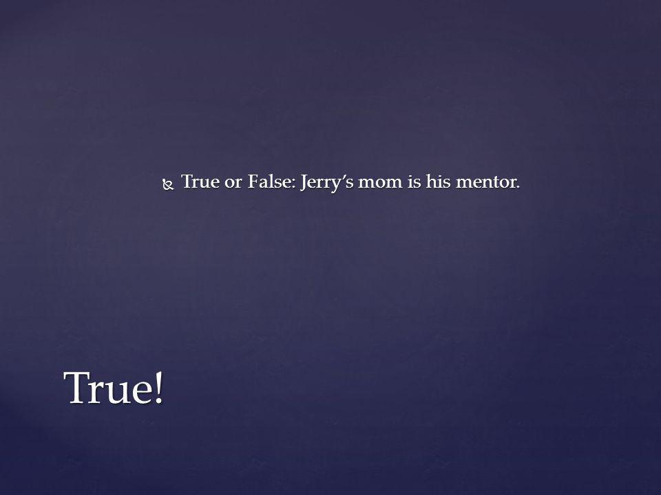 True or False: Jerry’s mom is his mentor.