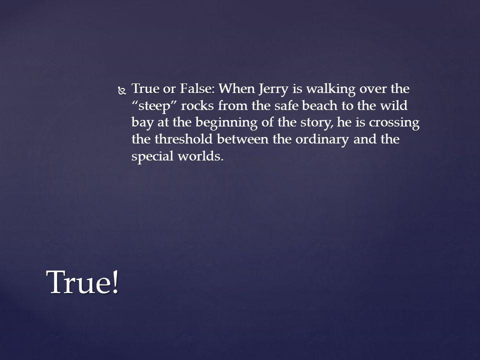 True or False: When Jerry is walking over the steep rocks from the safe beach to the wild bay at the beginning of the story, he is crossing the threshold between the ordinary and the special worlds.