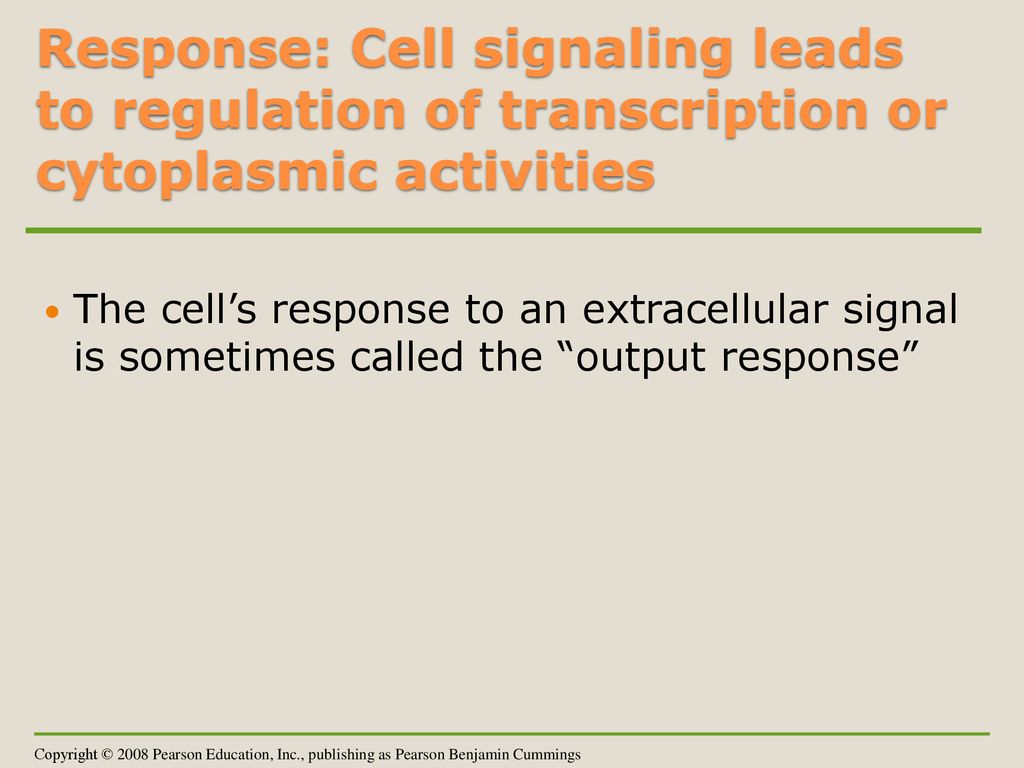 Response: Cell signaling leads to regulation of transcription or cytoplasmic activities