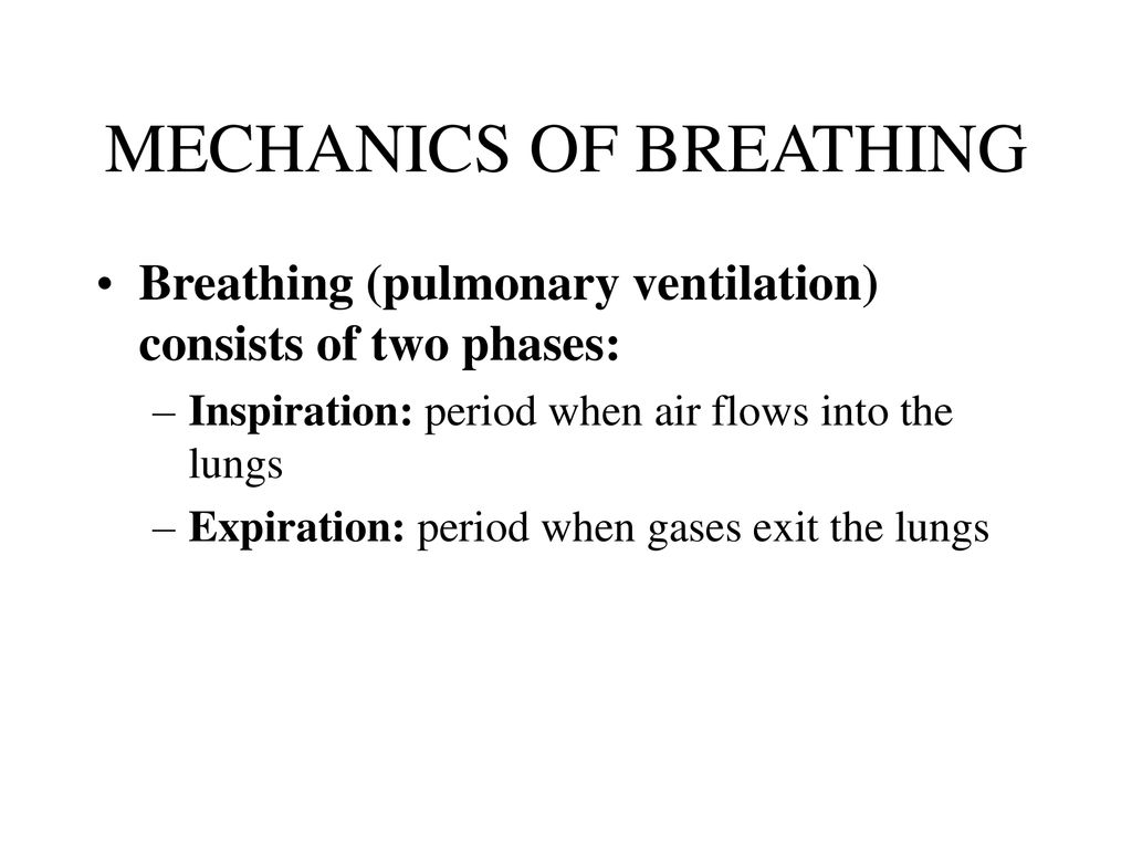 RESPIRATORY SYSTEM. - ppt download