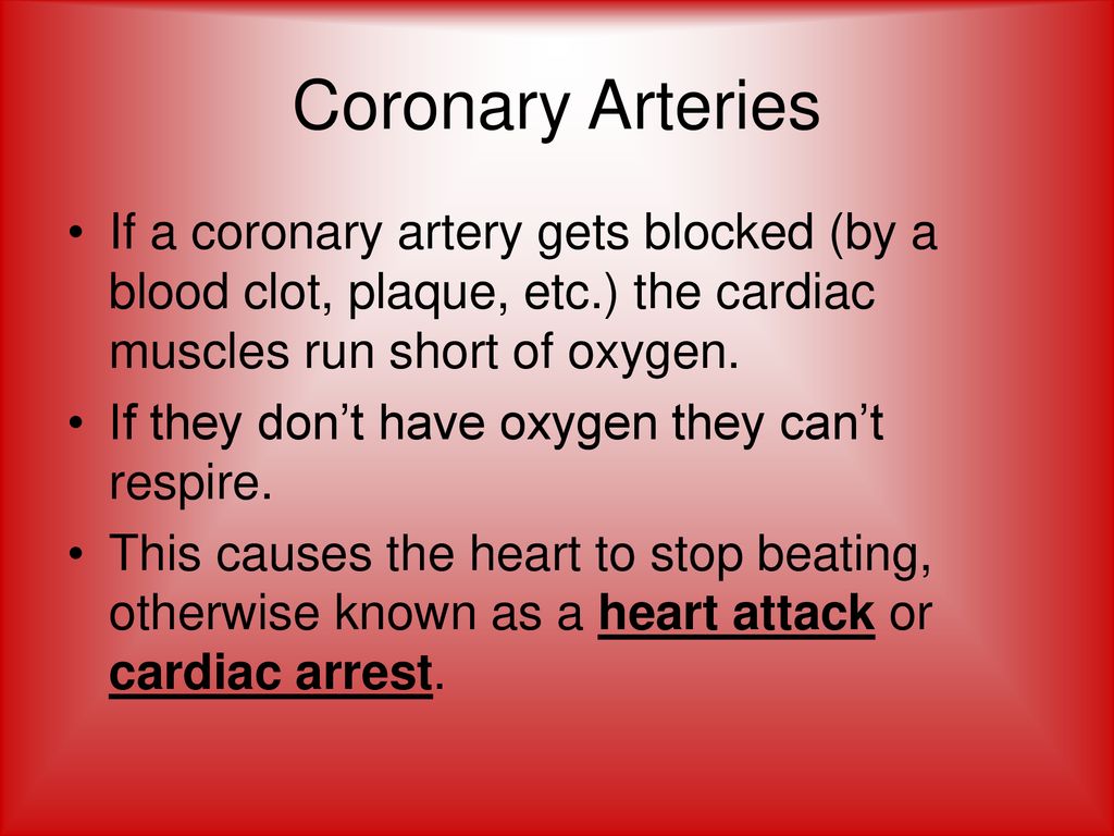 Coronary Arteries If a coronary artery gets blocked (by a blood clot, plaque, etc.) the cardiac muscles run short of oxygen.