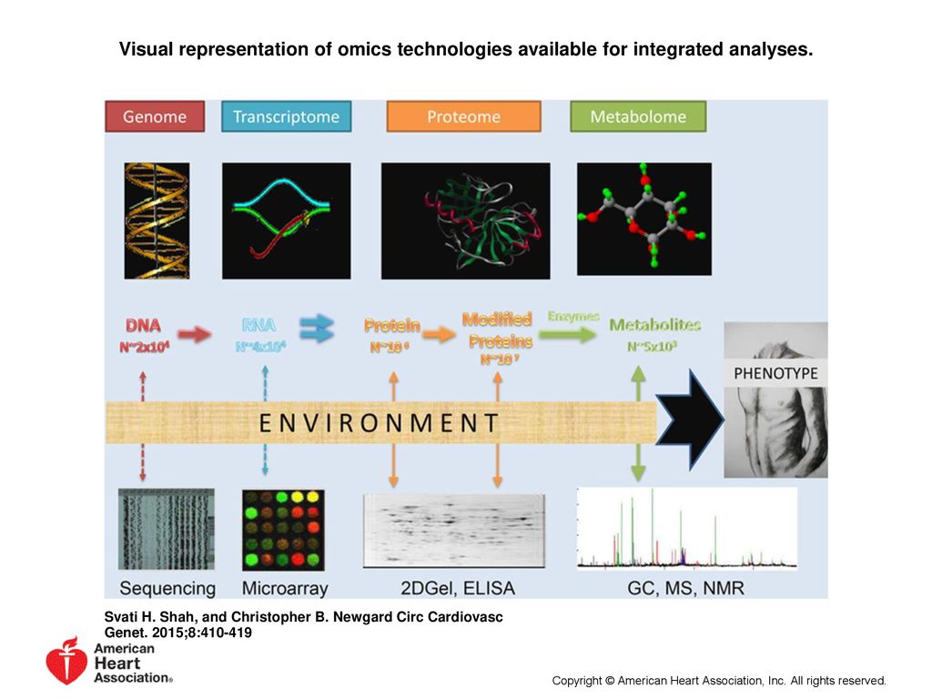 Visual representation of omics technologies available for integrated analyses.