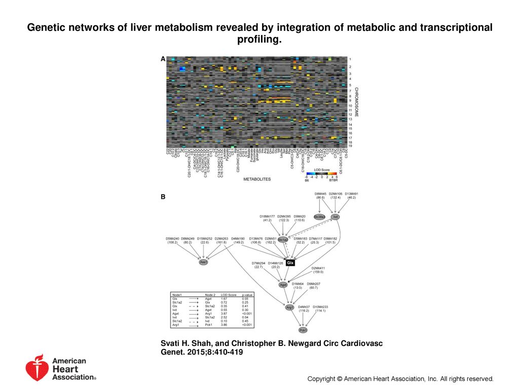 Genetic networks of liver metabolism revealed by integration of metabolic and transcriptional profiling.