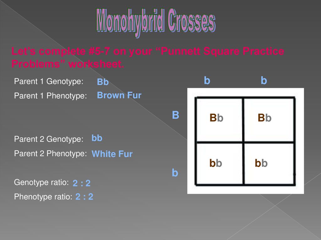 Get Your Clicker For Your Cell Vocab Quiz Ppt Download