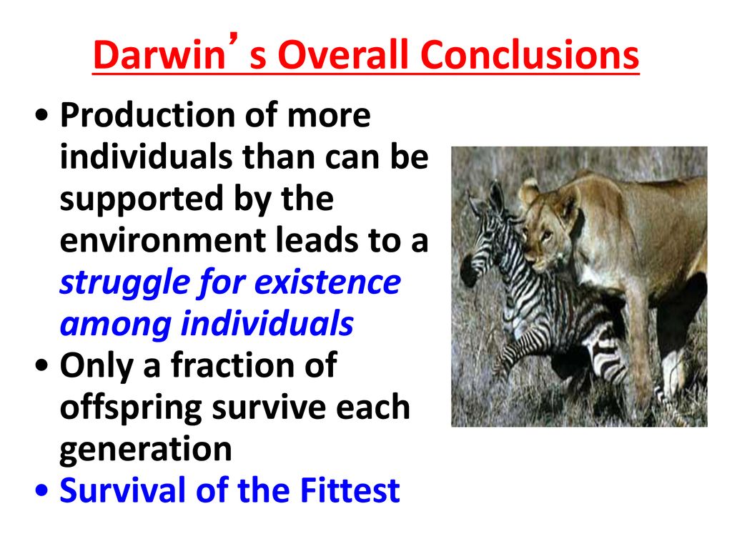 Descent With Modification A Darwinian View Of Life Ms Day AP Biology descent-with-modification-a-darwinian-view-of-life-ms-day-ap-biology