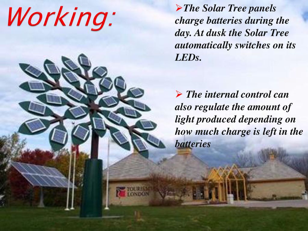 Solar Tree Ppt Download