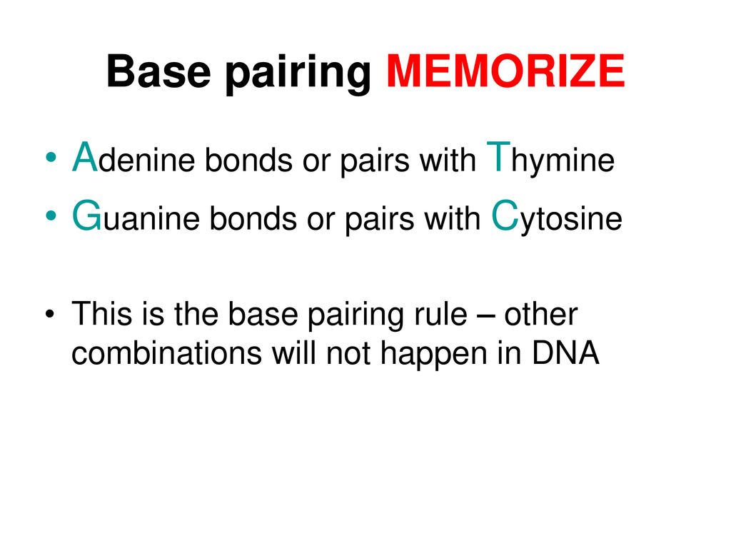 Dna ppt download