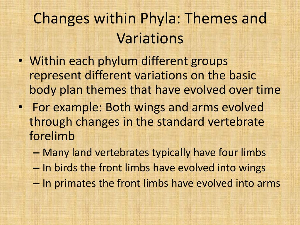 25.2 Part II. The Cladogram of Animals - ppt download