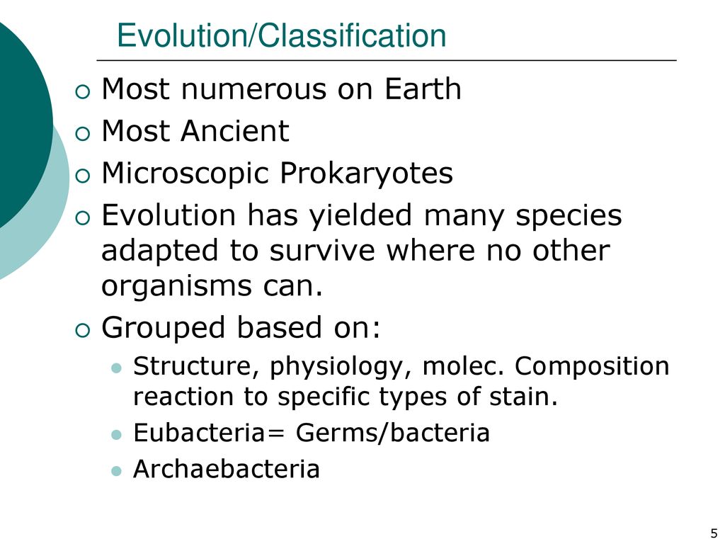 BACTERIA Vs VIRUS Biology Chapter Ppt Download