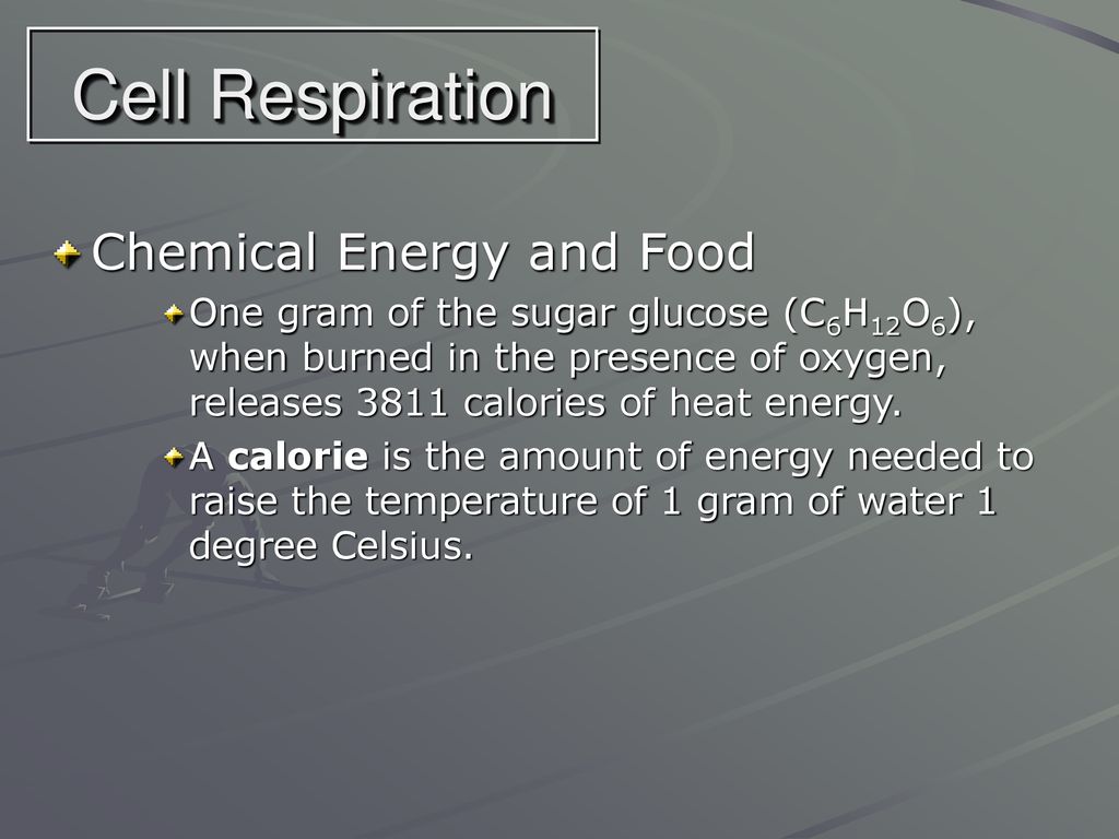 Cell Respiration Chemical Energy and Food