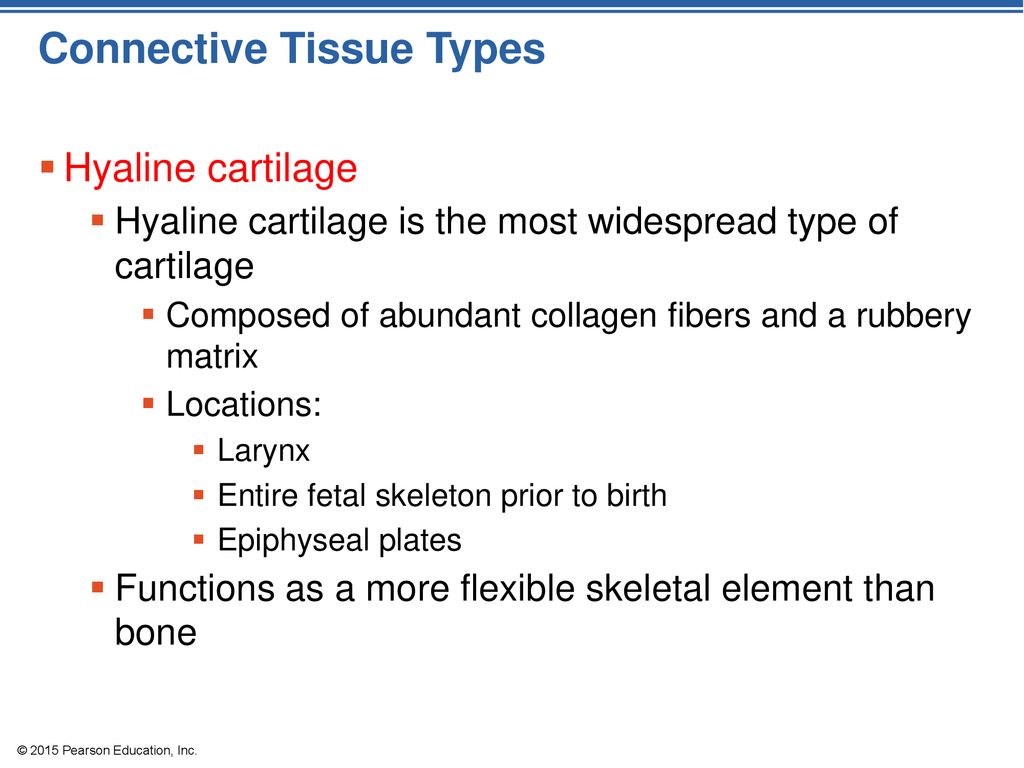 © 2015 Pearson Education, Inc. - ppt download