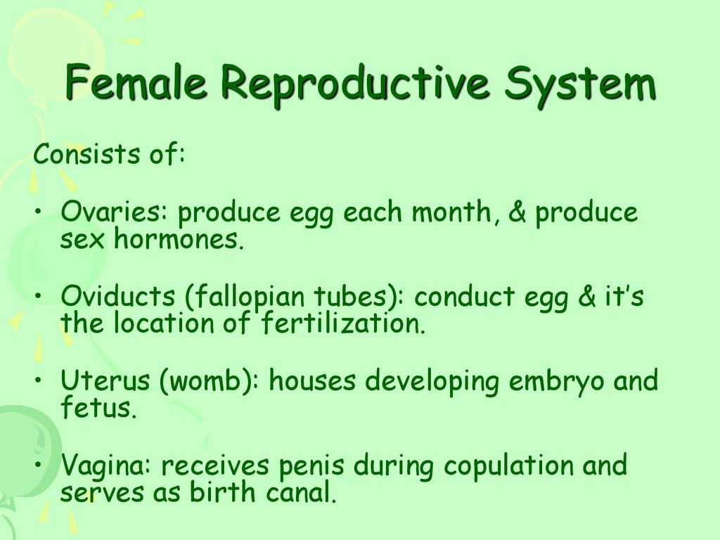 Reproduction (2). - ppt download