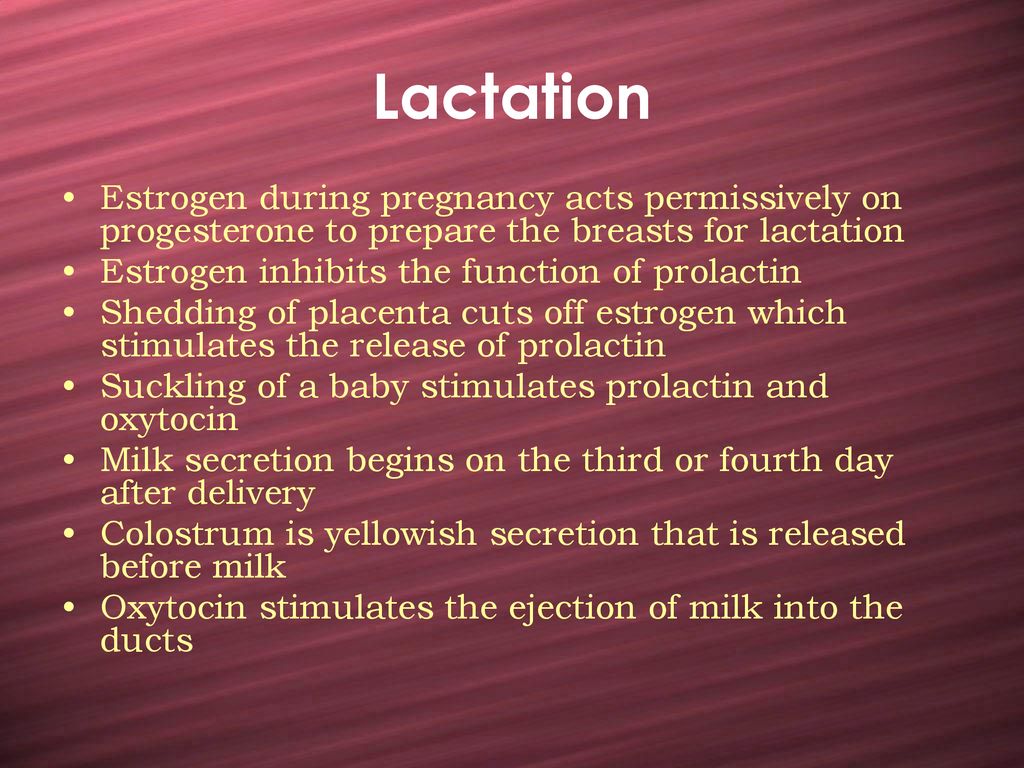 the-reproductive-system-ppt-download
