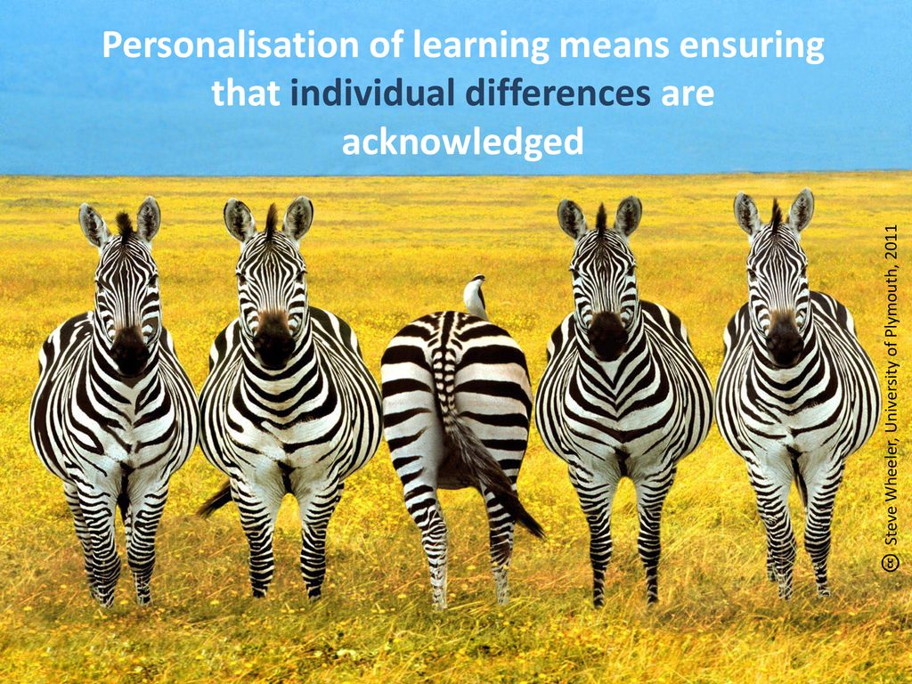 Personalisation of learning means ensuring that individual differences are acknowledged