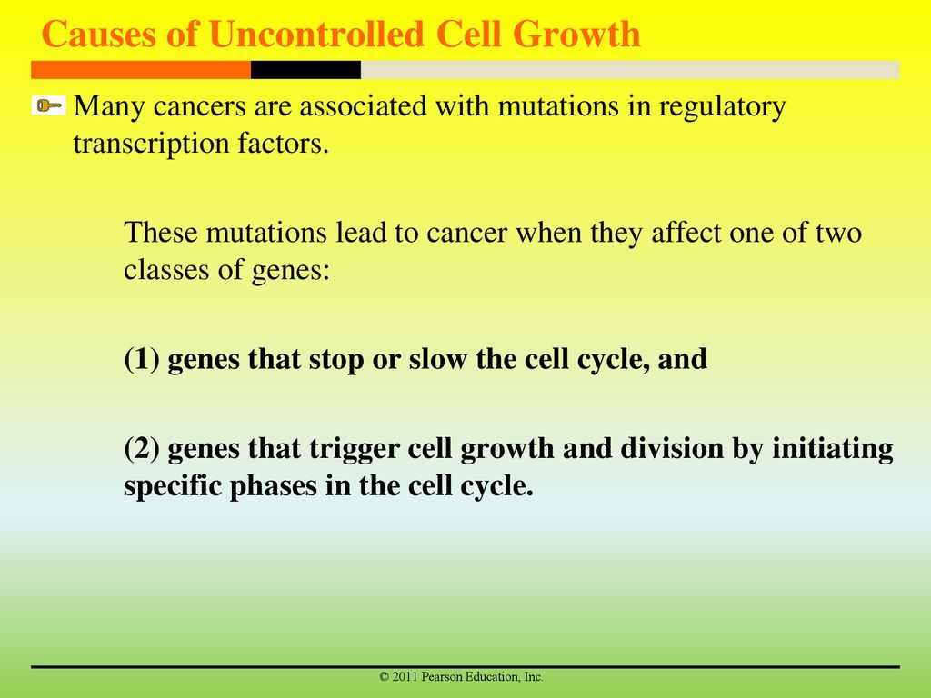 Key Concepts Changes in gene expression allow eukaryotic cells to ... Biology Diagrams