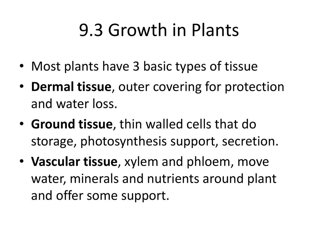Topic 9 Plant Biology Ppt Download topic-9-plant-biology-ppt-download
