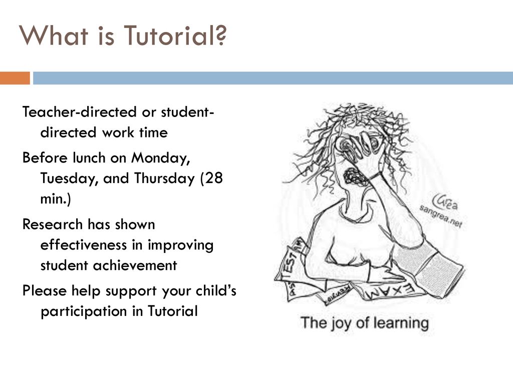 What is Tutorial Teacher-directed or student- directed work time