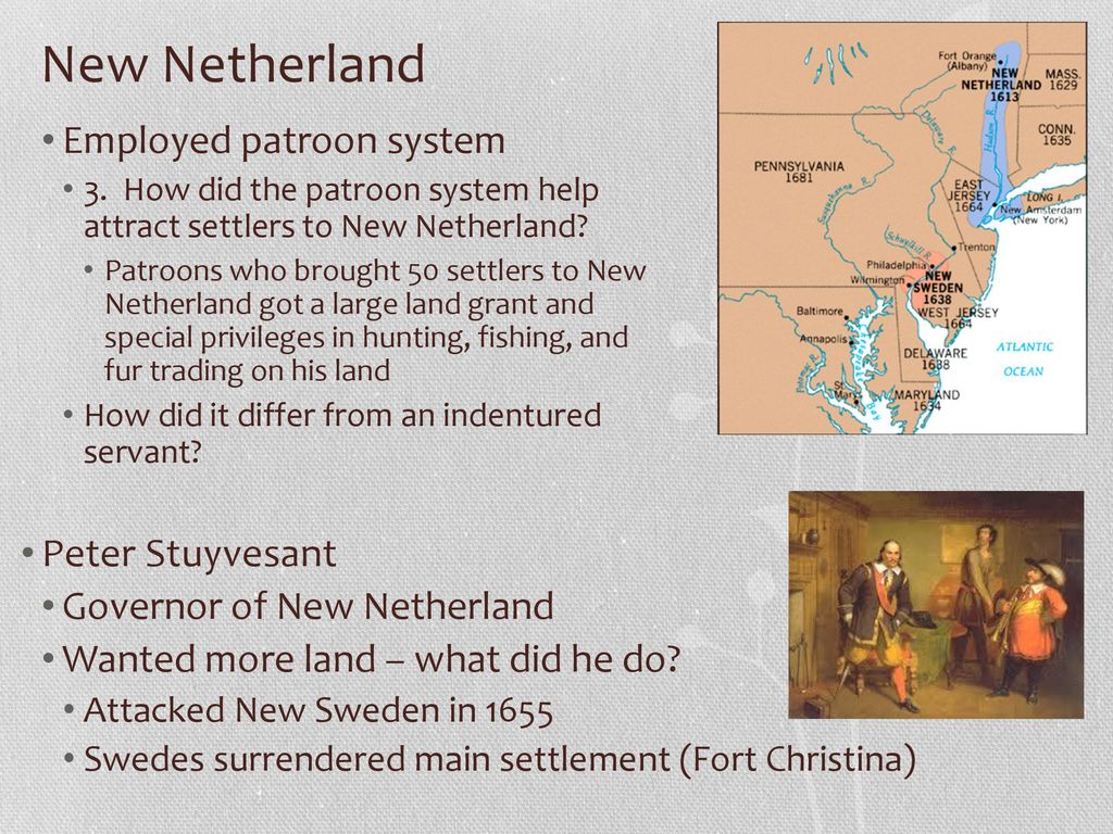 New Netherland Employed patroon system Peter Stuyvesant