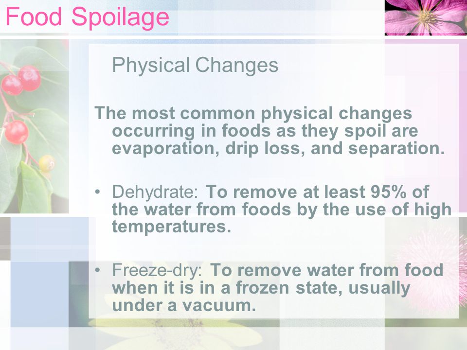 Food Spoilage Physical Changes